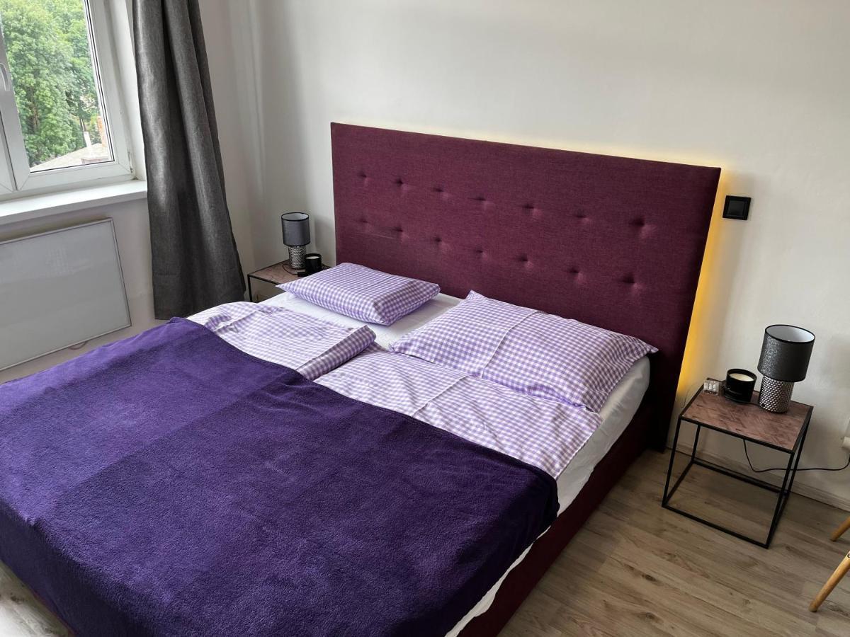 קרלובי וארי Large 3 Bedroom Apartment With City Skyline View מראה חיצוני תמונה