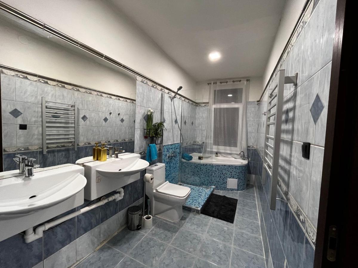 קרלובי וארי Large 3 Bedroom Apartment With City Skyline View מראה חיצוני תמונה