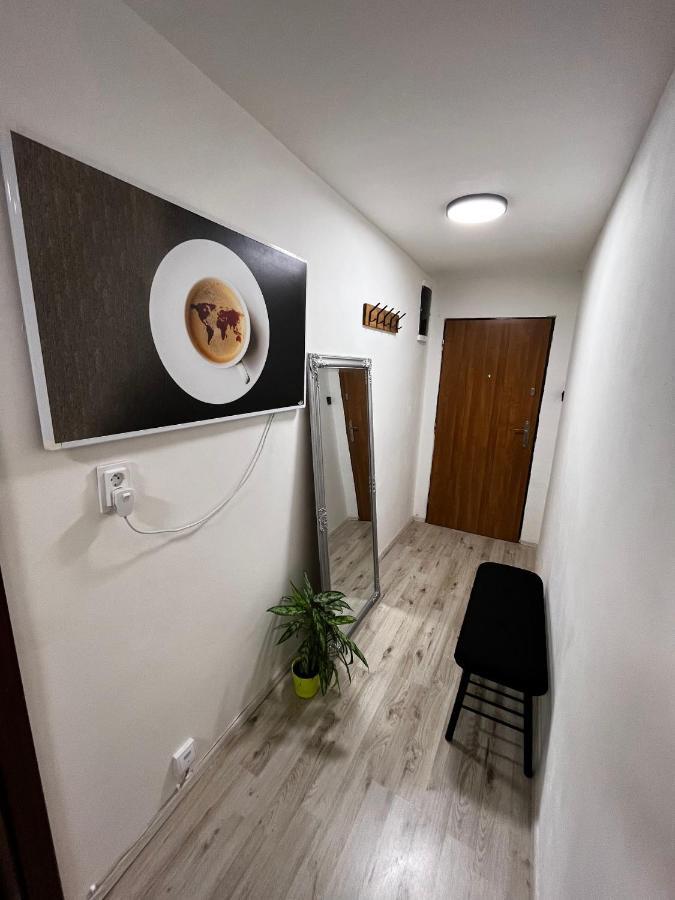 קרלובי וארי Large 3 Bedroom Apartment With City Skyline View מראה חיצוני תמונה