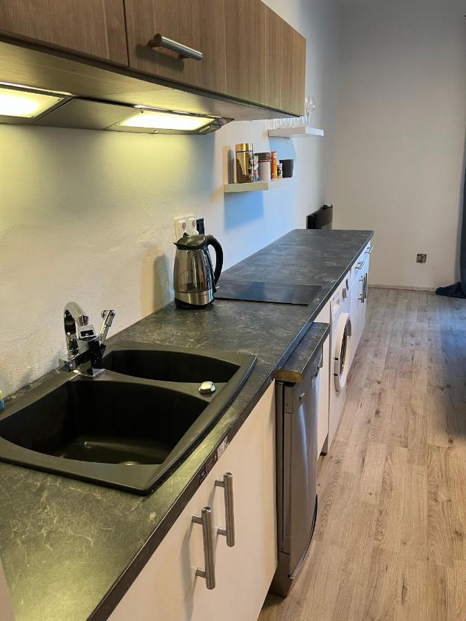 קרלובי וארי Large 3 Bedroom Apartment With City Skyline View מראה חיצוני תמונה